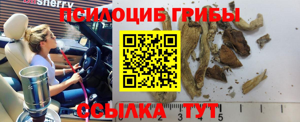 Галлюциногенные грибы Cubensis  Вход с VPN  Псилоцибиновые грибы Psilocybe  Салават 